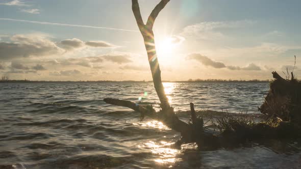 Time lapse of waves washing over old tree trunk on beach at sunset, slider shot