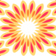 Radial Floral Pattern Designs - GraphicRiver Item for Sale