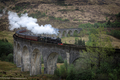 Glenfinnan viaduct with steam train - PhotoDune Item for Sale