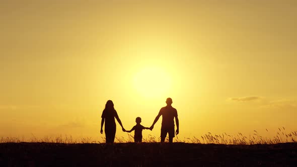 A Father and Mother Hold Hands with Their Young Son. The Family Walks at Sunset. Happy Family. Unity