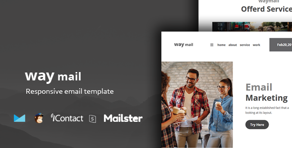 Way Mail - 30+ Modules + Online Access + Mailster + MailChimp
