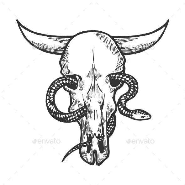 Snake in Cow Skull Sketch Engraving Vector