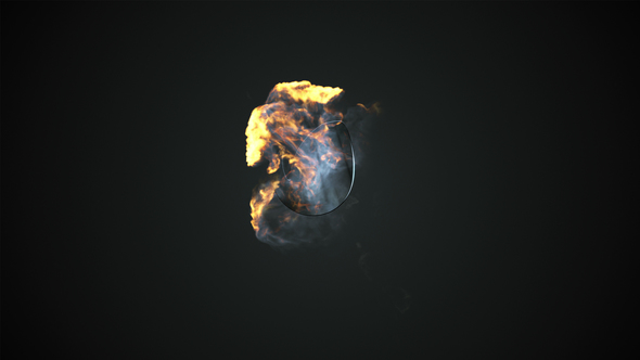 Elegant Fire Burst Logo