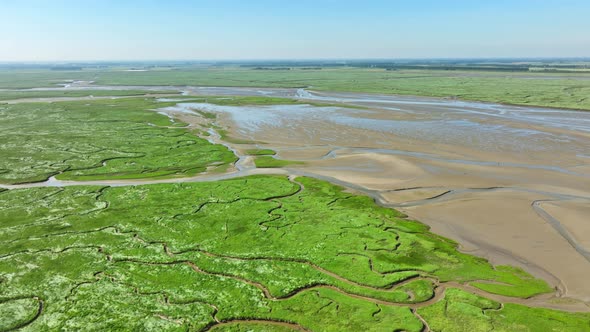 Beautiful long aerial shot of an endless landscape of narrow rivers winding through a green landscap