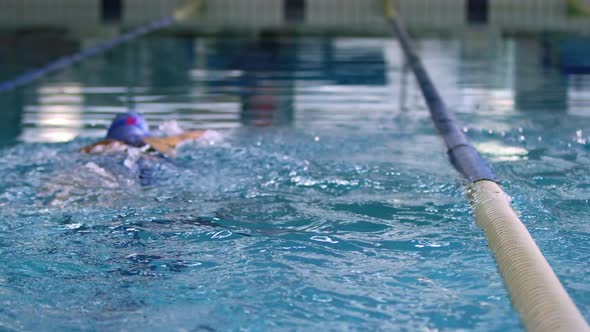 Swimmers training in a swimming pool