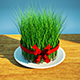 Samani 3D - 3DOcean Item for Sale
