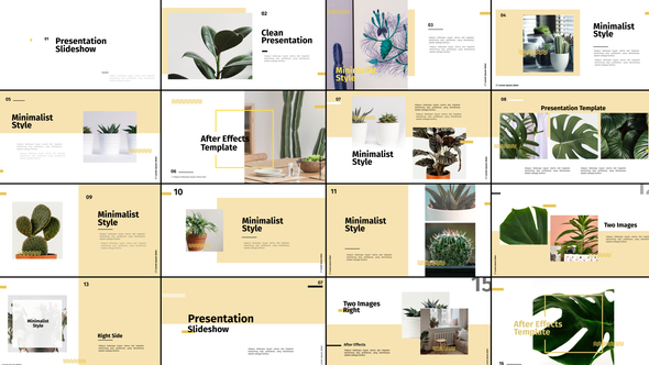 Presentation Slideshow alt