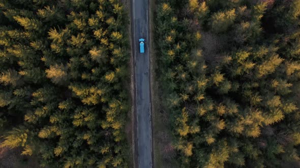 A blue car driving down a picturesque forest road during golden hour in Germany. Aerial high angle f