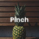 Pinch - Food PowerPoint Template - GraphicRiver Item for Sale