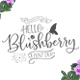 Hello Blushberry - Font Duo - GraphicRiver Item for Sale