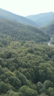 Carpathian Mountains