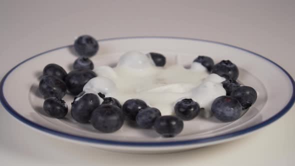 Blueberries on a white plate with a blue border. 