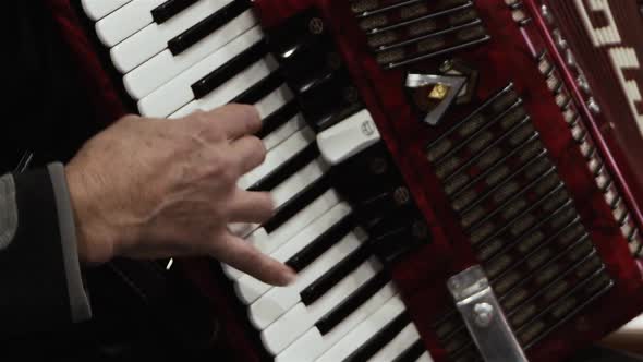 Man playing the Vintage Accordion.