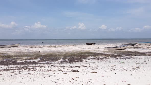 Shore of Zanzibar Island Tanzania at Low Tide Slow Motion