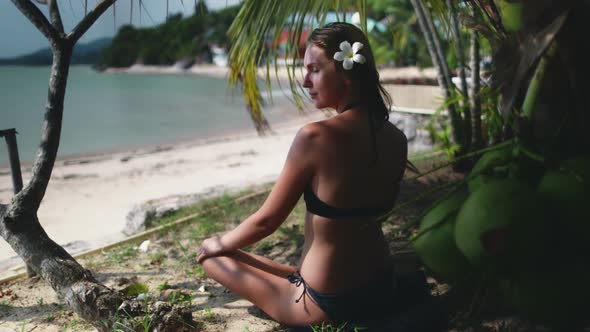 Peaceful Woman Sit Under Tropical Coconut Palm