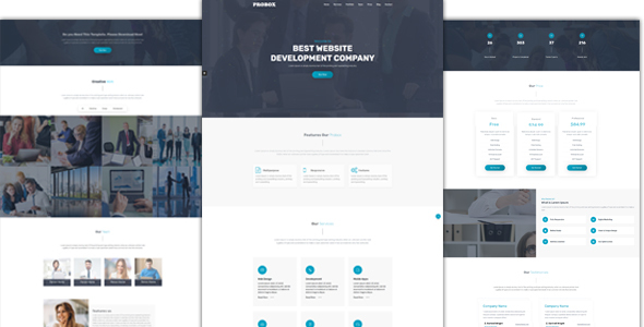 Probox Multipurpose HTML One Page Template