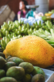KUCHING / SARAWAK  / MALAYSIA / JUNE 2014: Jack fruit at the loc - PhotoDune Item for Sale