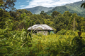 BORNEO / SARAWAK / MALAYSIA / JUNE 2014: Isolated house in the m - PhotoDune Item for Sale