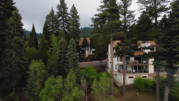 Drone shoots houses and trees in the coastal town, aerial view of Lake Arrowhead, California, USA