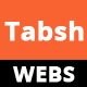 Tabsh HTML 5 & CSS3 Tabs - CodeCanyon Item for Sale