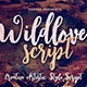 Wildlove Script Font - GraphicRiver Item for Sale