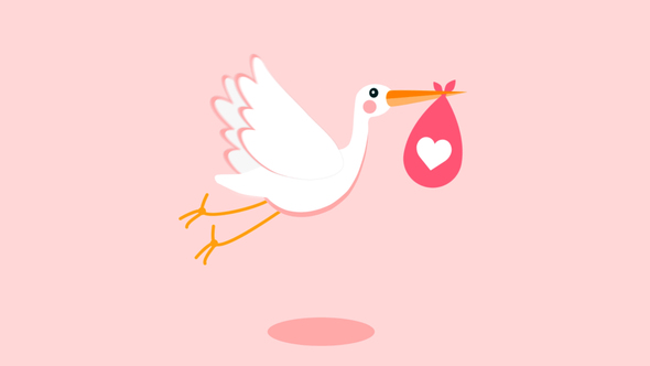 Stork - Baby Birthday Opener