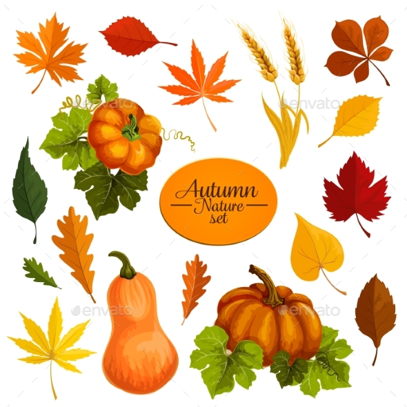 Autumn Vector Icons of Leaf Fall and Harvest