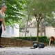 Women doing crossfit outdoors - VideoHive Item for Sale