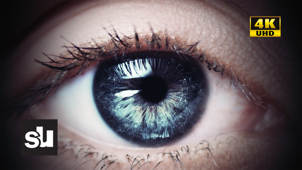 Blink Of The Eye alt