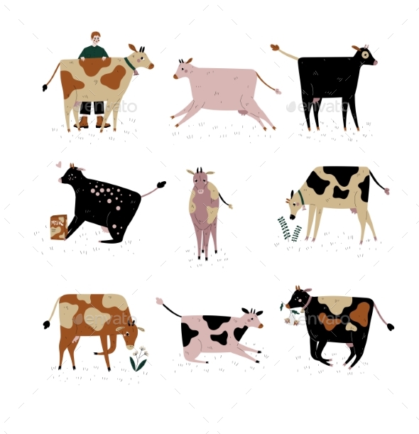 Cows of Different Breeds Set