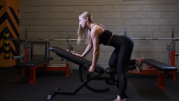 Young woman exercising with dumbbell in the gym. Working on back muscles.