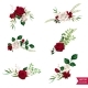 Vector Roses - GraphicRiver Item for Sale