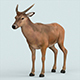 Realistic Wollaton Deer - 3DOcean Item for Sale