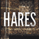 Hares - A Stylish WordPress Theme - ThemeForest Item for Sale