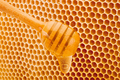 Honey dripping from dipper on background honeycomb - PhotoDune Item for Sale