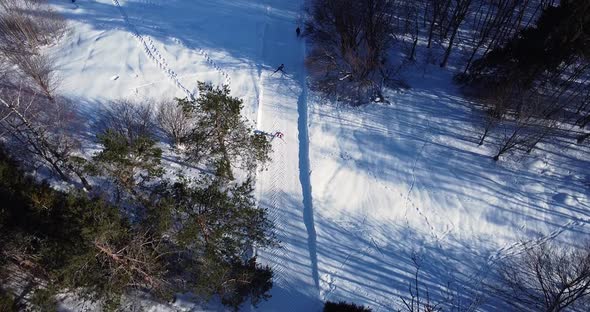 Ski Race Competition in Very Cold Weather