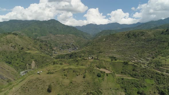 Rice Terraces Mountains