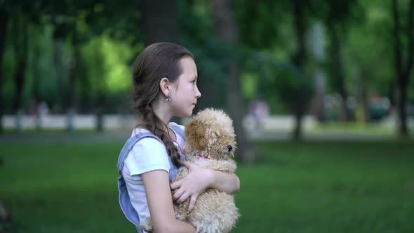 Child Girl Playing with a Toy Poodle Dog Outdoors