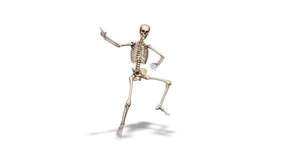 3D Skeleton Fun Dance  Looped on White