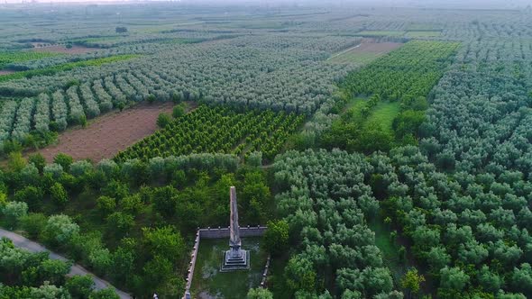 Large orchards.