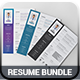 Resume & Cover Letter Bundle - GraphicRiver Item for Sale