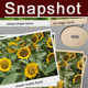 Snpashot Action - GraphicRiver Item for Sale