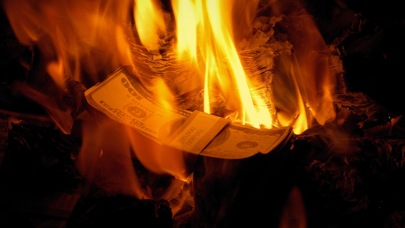 Piles Of Money Burning In The Fire