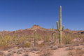American Desert Landscape - PhotoDune Item for Sale
