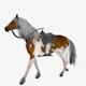 Horse New 3D model - 3DOcean Item for Sale