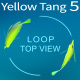 Yellow Tang 6 - VideoHive Item for Sale