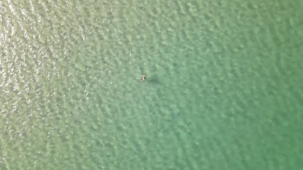 Swimming Holiday Sea Aerial View