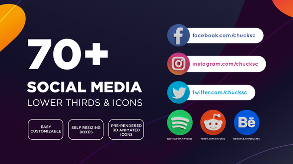 Social Media Lower Thirds & Icons