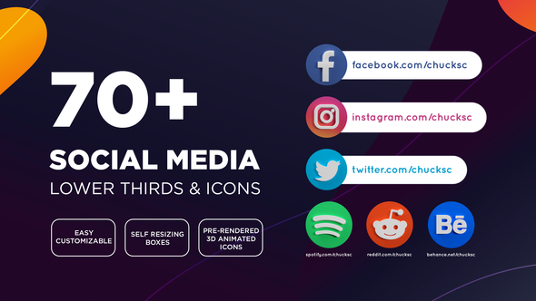Social Media Lower Thirds & Icons alt