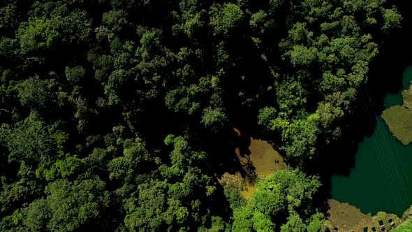 Lake In The Forest